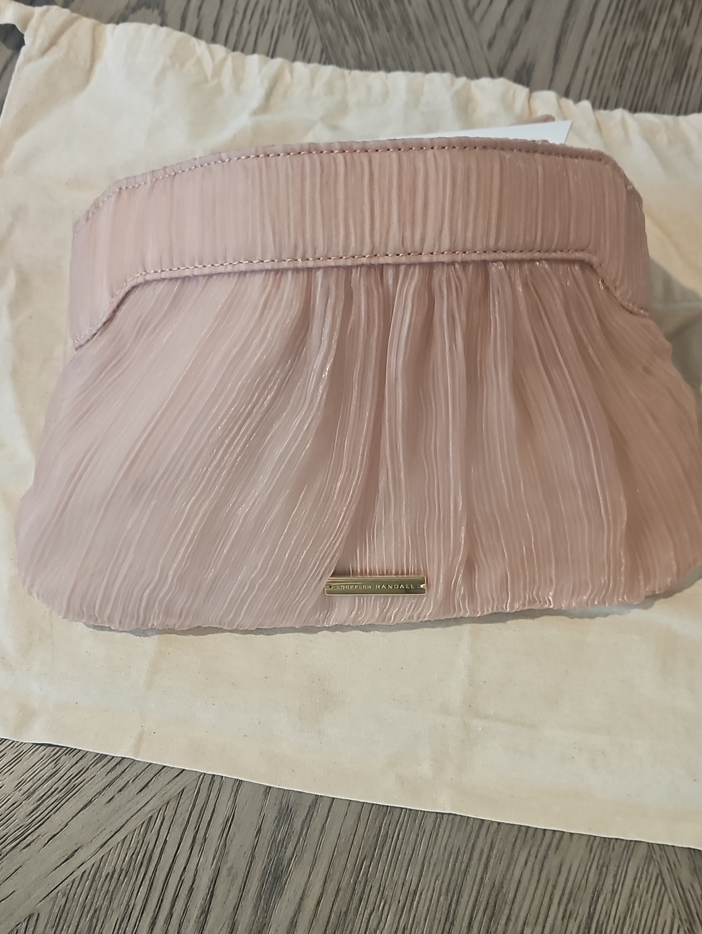 LOEFFLER RANDALL Rayne bow-embellished plissé-organza clutch NWT $250 (No Strap) - Picture 8 of 9